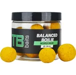 Vyvážené boilie TB Baits Balanced Scopex Squid 100g 20-24mm