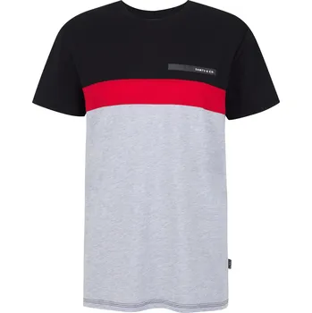 Pánské tričko Pánské triko SAM 73 ERNESTO MT 840 SVĚTLE ŠEDÁ S