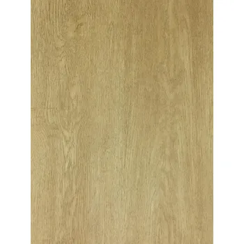 Dexter 19DBV1009-7 dub