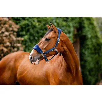 HORSEWARE Ohlávka polstrovaná Grooming Signature Horseware, navy COB