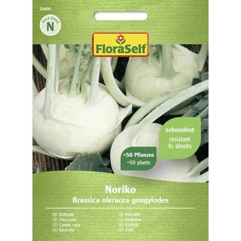 Semeno Kedluben Noriko FloraSelf