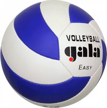 Míčový sport Volejbalový míč Easy BV 5083 S
