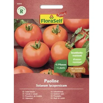 Semeno Rajče Paoline FloraSelf Select F1 hybrid