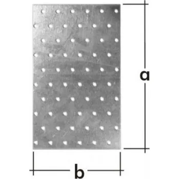 Tesařské kování Plešek perfor 120x40x2,0mm bal/20ks