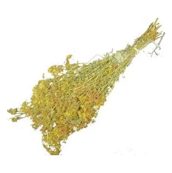 EVEI Větvička do sauny „ St Johns wort“