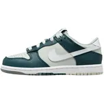 NIKE Dunk Low FB9108-300