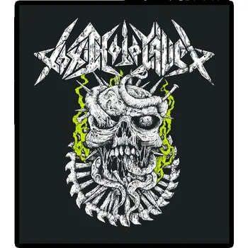 Nášivka nášivka na záda, zádovka Toxic Holocaust - skull