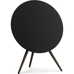 Bang & Olufsen Beosound A9 5th Gen