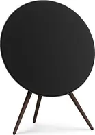 Bang & Olufsen Beosound A9 5th Gen