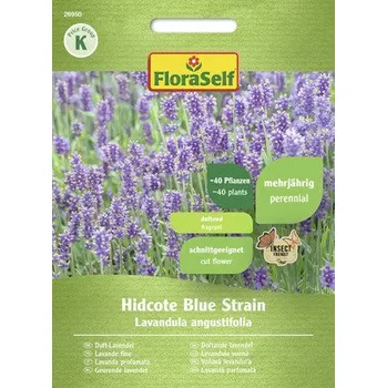 Semeno Levandule Hidcote Blue Strain FloraSelf