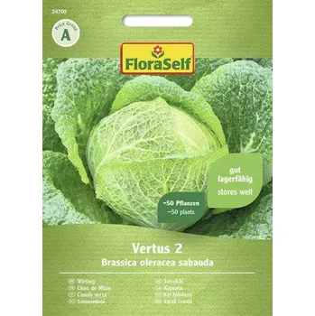 Semeno Kapusta Vertus 2 FloraSelf
