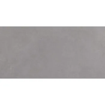 Dlažba ARGENTA TANUM & MUSSON 2697 30 cm x 60 cm x 1 cm šedá 1,08 m2