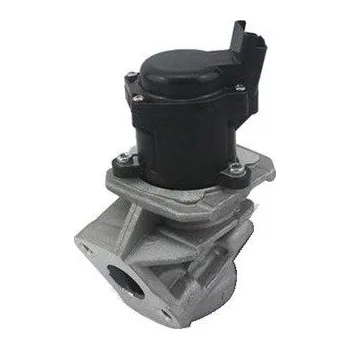 Palivový systém AGR-Ventil MAGNETI MARELLI EV029