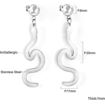 Náušnice Visací náušnice z nerezové oceli - 463s