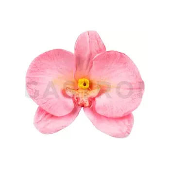 Kuchyňská sůl Silikonová forma na cukrovou hmotu ve tvaru okvětních lístků orchideje - SLK, 92x60 mm | SILIKOMART, SugarFlex