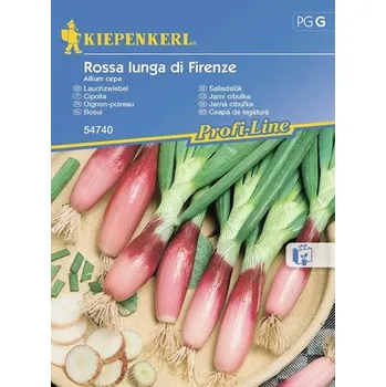 Semeno Cibule Rossa Lunga di Firenze Kiepenkerl