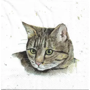 Ubrousky Kočka, 33 x 33 cm (Ubrousky s kočkou, kočky)