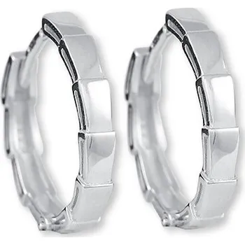 Náušnice Brilio Silver Nadčasové stříbrné náušnice 431 001 02818 04 + 2 měsíce na vrácení zboží