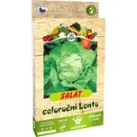 BIOM Salát celoroční na výsevném pásku…