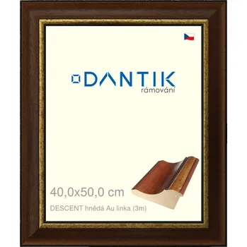 Rám na obraz DANTIK rámeček 40x50 | DESCENT hnědá Au linka (Plexi Čiré) (Vyrobeno s láskou u nás v DANTIKU)