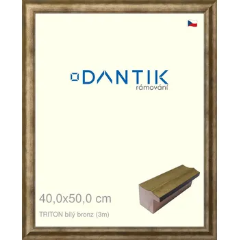 Rám na obraz DANTIK rámeček 40x50 | TRITON bílý bronz (Plexi Čiré) (Vyrobeno s láskou u nás v DANTIKU)