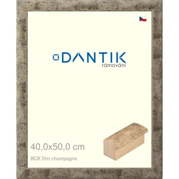 Rám na obraz DANTIK rámeček 40x50 | BOX film champagne (Sklo Čiré) (Vyrobeno s láskou u nás v DANTIKU)