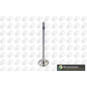 Rozvod motoru Výfukový ventil BG Automotive V200611
