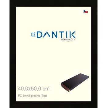 Rám na obraz DANTIK rámeček 40x50 | FC černá plochá (Sklo Čiré) (Vyrobeno s láskou u nás v DANTIKU)
