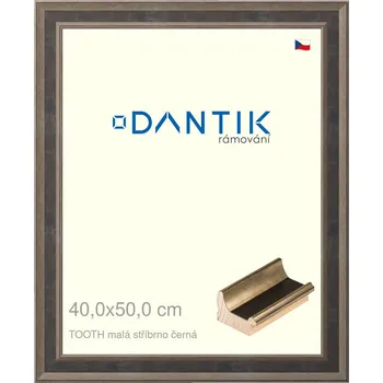 Rám na obraz DANTIK rámeček 40x50 | TOOTH malá stříbrno černá (Plexi Čiré) (Vyrobeno s láskou u nás v DANTIKU)