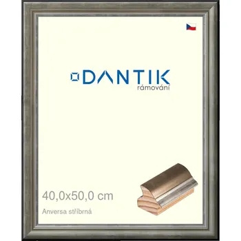Rám na obraz DANTIK rámeček 40x50 | ANIVERSA stříbrná (Plexi Čiré) (Vyrobeno s láskou u nás v DANTIKU)