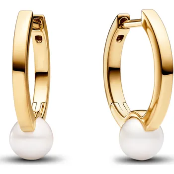PANDORA Timeless 263170C01