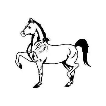 Dětské razítko Vlastní výroba | Dětské razítko 14