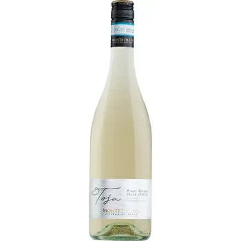 Víno Pinot Grigio D.O.C. delle Venezie Monte Del Frá (víno bílé, suché )