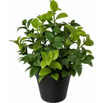 umělá květina Umělý fíkus v květináči, v. 28 cm, zelená