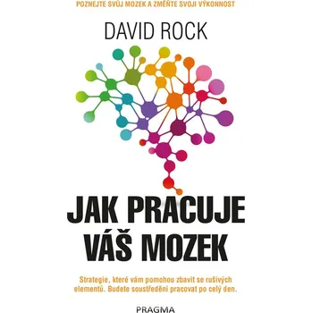 Jak pracuje váš mozek - David Rock (2020, pevná)