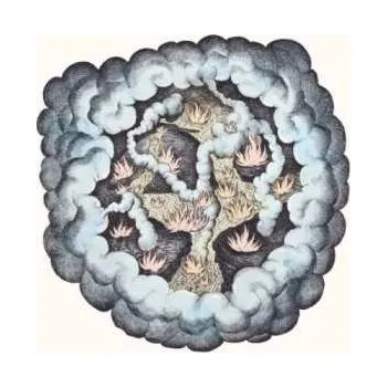 Zahraniční hudba LP T.W. Walsh: Songs Of Pain And Leisure 2011