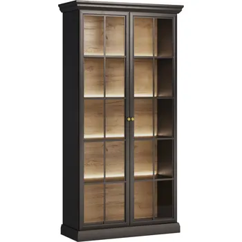 Knihovna Vitrína LUCCA W2D, Černá s LED osvětlením