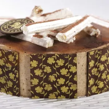 Farmaceutická surovina Stabilizátor šlehačky s příchutí cappucino, 0,5 kg | ZEELANDIA, Zeesan Cappucino