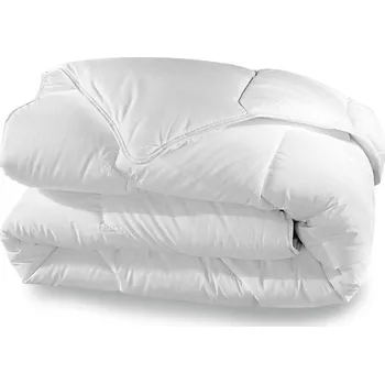 přikrývka Blancheporte Přikrývka Conforloft Dodo® 300g/m2 bílá 200x200 cm