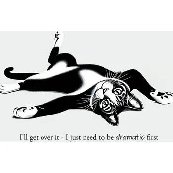 Plakát Plakát, Obraz - I'll get over it, Andreas Magnusson