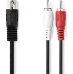 Kabel DIN5 zástrčka / samec na 2xRCA / zástrčky / 1m