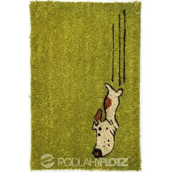 Rohožka kokos Zelený pes 40x60 cm