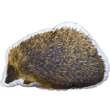 Polštář Forbyt Fotopolštář, 3D Ježek
