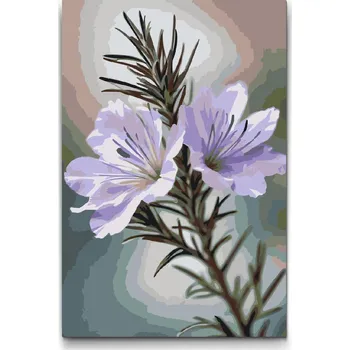 Malování podle čísel - Květ rozmarýnu Velikost: 20x30cm, Rámování: Pouze srolované plátno