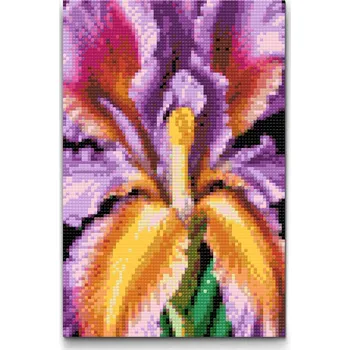 Diamantové malování Diamantové malování - Květ kosatce Velikost: 20x30cm, Rámování: Pouze srolované plátno, Diamanty: Čtvercové