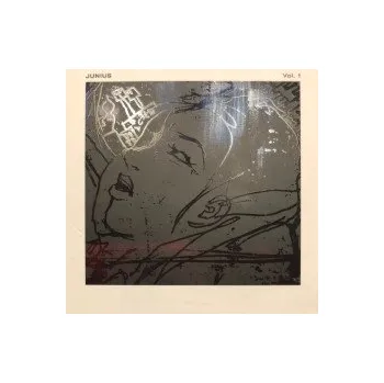 Zahraniční hudba Vol.1 / Digisleeve - Junius [CD]