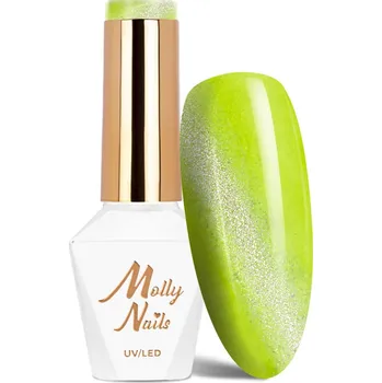 Lak na nehty MollyNails Neon Flashy Cat Eye 8g 178