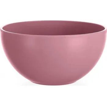 BANQUET Miska plastová CULINARIA průměr 9,5 cm, 200 ml, raspberry (BANQUET Miska plastová CULINARIA průměr 9,5 cm, 200 ml, raspberry)