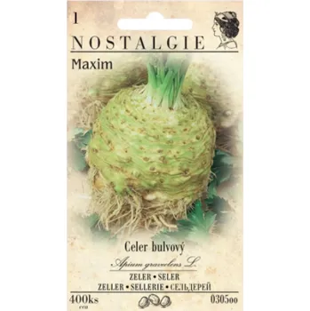 Semeno Celer bulvový MAXIM