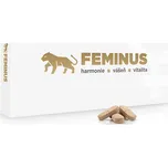 Feminus – přírodní doplněk stravy pro ženy v menopauze, 60 tablety